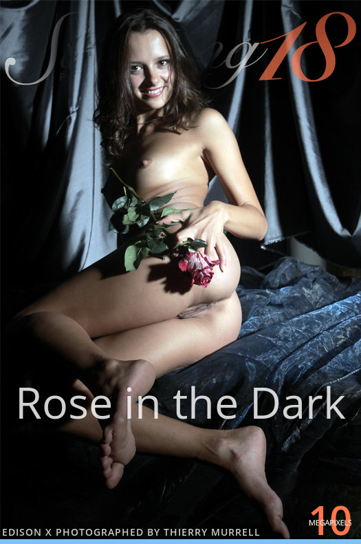 Rose in the Dark