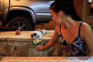 Venice Lei in 'Presenting Venice Lei' (86 photos) - MetArt